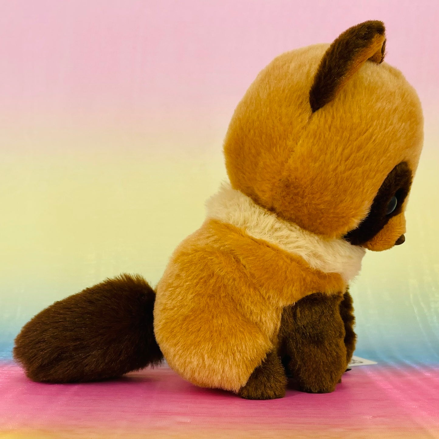 Popon to Tanuki the Raccoon - Cinnamon- Small