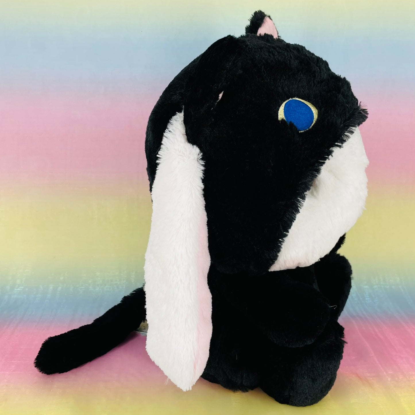 Loppy Yurugurumi The Rabbit - Wearing Black Cat Onsie - Large