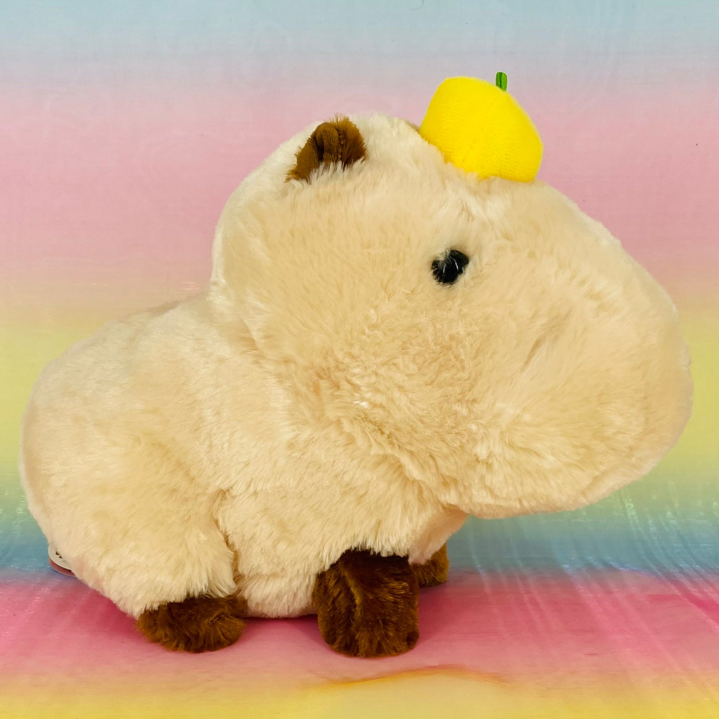 Nohohon Kapibara the Capybara - Fawn with Fruit on Head - Medium