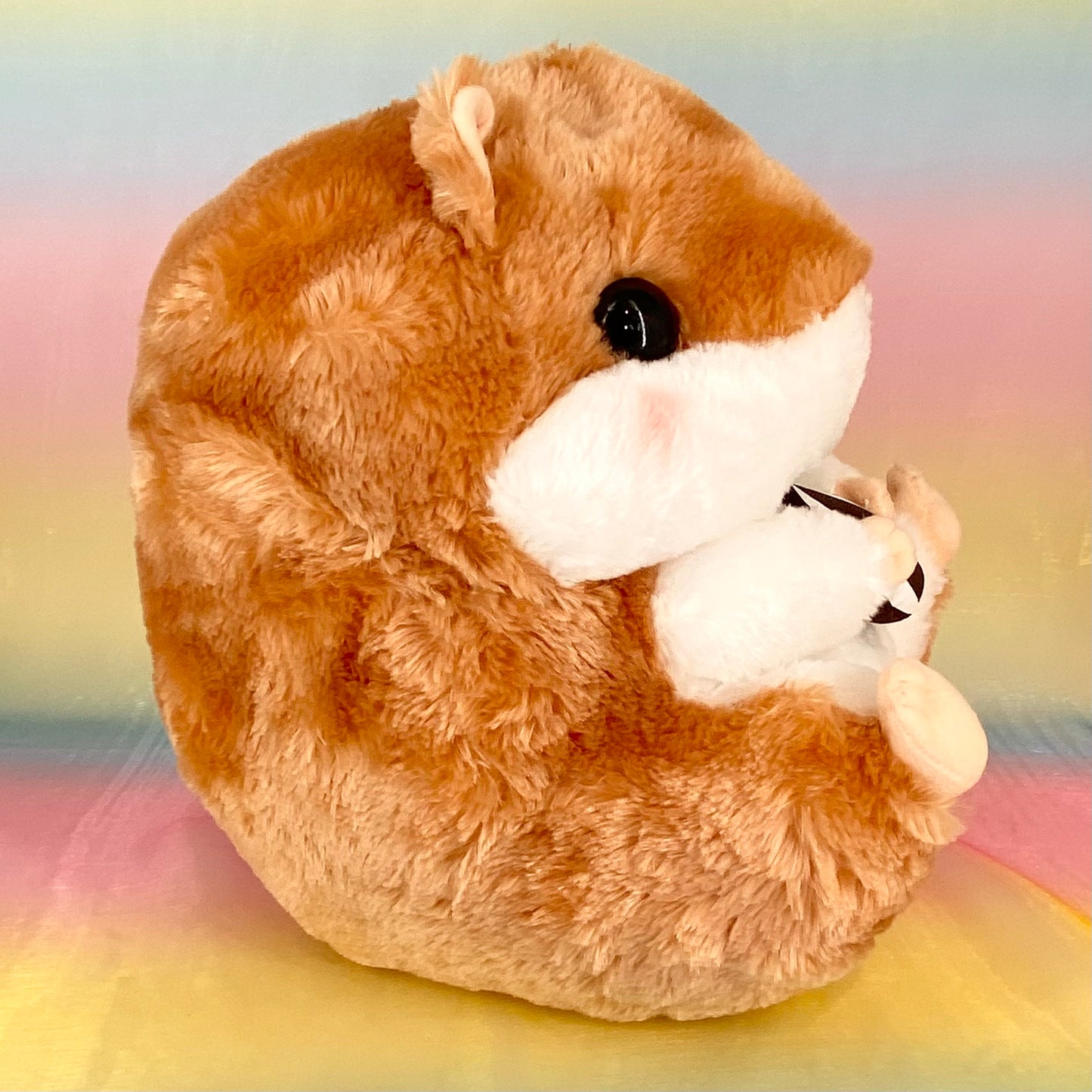 Coron Chira-kun Issho The Hamster - Butterscotch with Sunflower Seed - Large