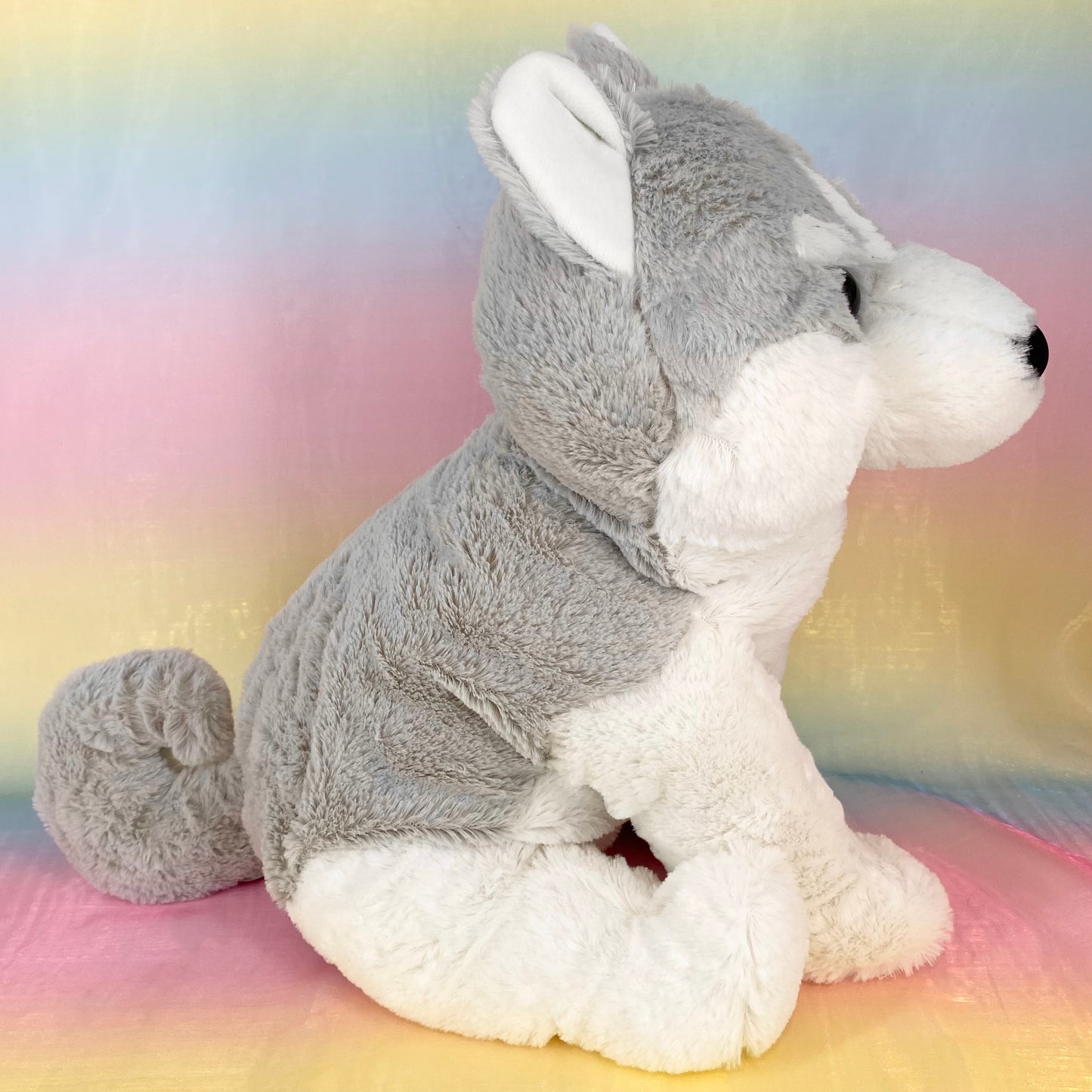 Kuttari The Siberian Husky - Pale Grey - Large