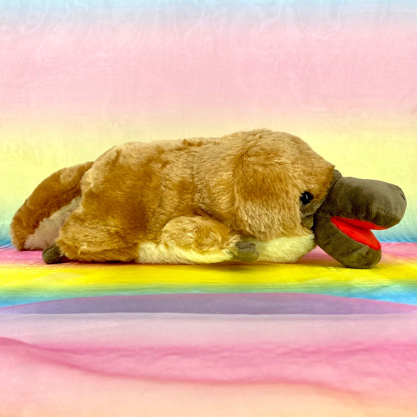 Hashikko Kamonohashi The Platypus - Cinnamon with Open Beak - Medium