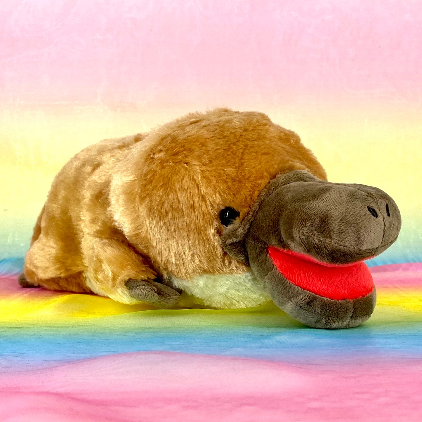 Hashikko Kamonohashi The Platypus - Cinnamon with Open Beak - Medium