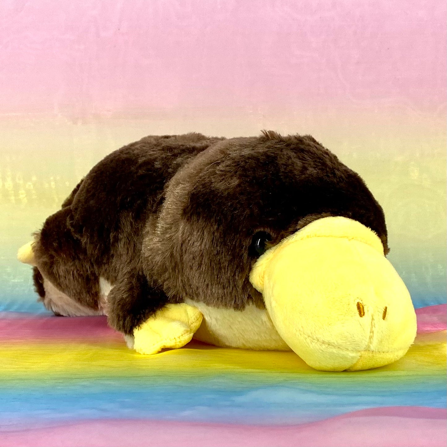 Hashikko Kamonohashi The Platypus - Chocolate - Medium