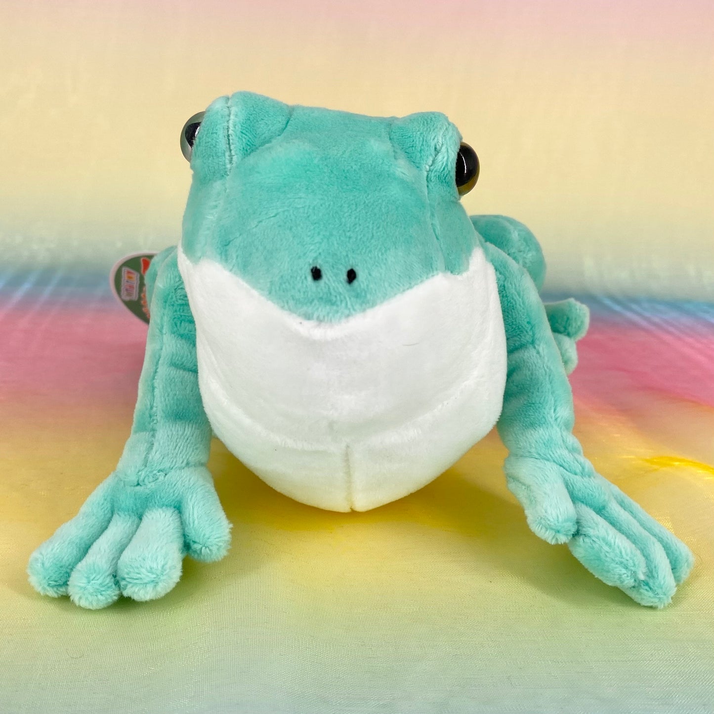 Pyoko-Pyoko The Tree Frog - Turquoise Blue - Small