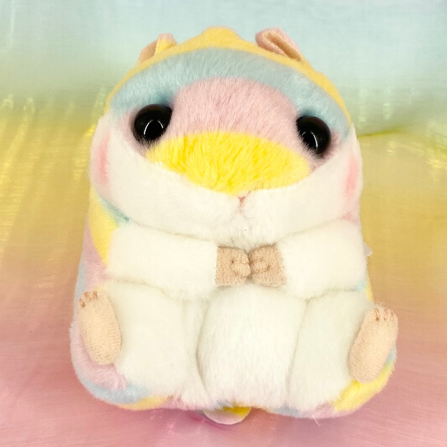 Coron The Hamster - Rainbow with Rosy Cheeks - Small